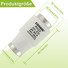 SIGANDG Neozed 5 Pcs Ceramic DIII Fuse gG Type 63A 500VAC for Cable and Line Protection