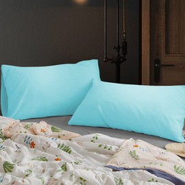 BEDSUM Microfiber Standard Pillowcases Set of 2, Soft Wrinkle Resistant and Easy Care Pillow Cases with Envelope Closure for Kids, 20x26 inches,Aqua