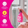 Stardrops The Pink Stuff Multi-Purpose Spray, Window & Glass Cleaner,