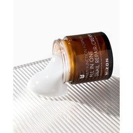 MIZON All In One Snail Repair Cream, Face Moisturizer with Snail Mucin Extract, Recovery Cream, Wrinkle & Blemish Care (2.53 Fl Oz Pack of 2)