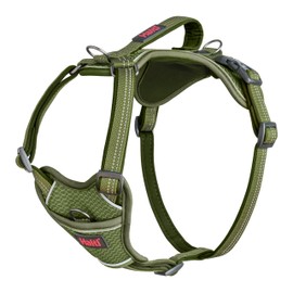 HALTI Anatomy Dog Harness with Handle - Provides Your Dog Freedom of Movement for Comfortable Walking. 3 Leash Attachment Points, Neoprene Padded, Adjustable, and Reflective (Size Small, Green)