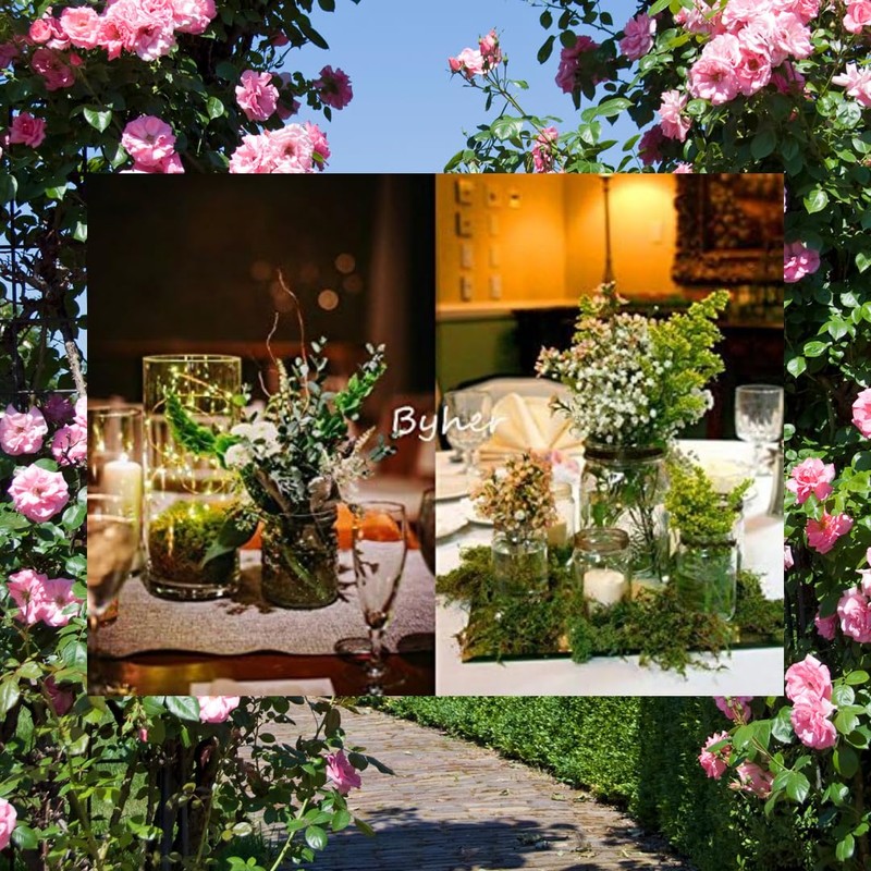 Byher 92926 Preserved Forest Moss, Fresh Green (8OZ)