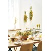 Daichi Farm DO032052-000 Dried Flowers, Immortel, Natural Yellow, Large, Approx.