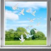 11 Pegatinas Anticolisión para Ventanas, Protección contra Pájaros, Decoración de