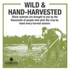 Hammons Fancy Large Black Walnuts -Wild Harvested - Non-GMO -