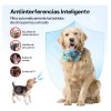 Antiladrido Perro Entrenamiento Collar Eléctrico Automático Color Negro