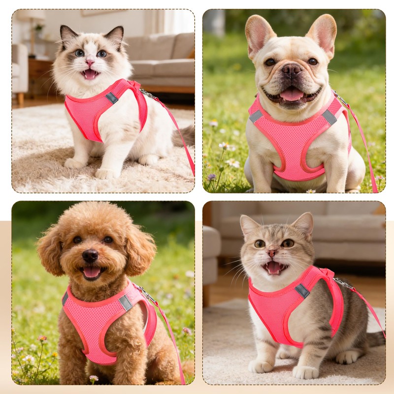 Pet Harness No Pull for Small Dogs and Cats,Breathable Mesh,0.55FIT,S
