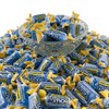 Jolly Ranchers Hard Candy 3lbs- All Blue Raspberry Individually Wrapped