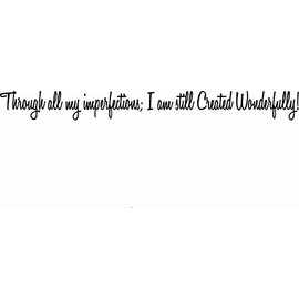 Through All My Imperfections; I Am Still Wonderfully Created! 2.5 x 22 Beautiful Vinyl Wall Decal by Scripture Wall Art Includes Our Exclusive "Goof Proof Guarantee"