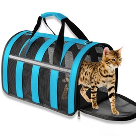 Airline Approved Cat Carrier for Small & Medium Pets up to 15 Lbs, Soft-Sided Collapsible Travel Carrier with Breathable Mesh, Lightweight & Portable Design Blue