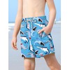 BesserBay Little Boys Summer Blue Shark Adjustable Drawstring Stretch Swim