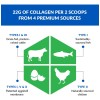 Biotrust Ageless Multi Collagen Protein | 5 En 1 Collagen