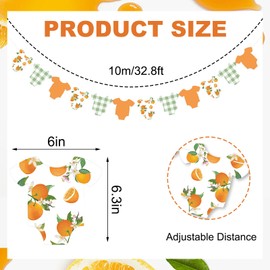 Whaline Orange Theme Bodysuit Banner Hanging Garland Green Plaid Little Cutie Citrus Fruit Hanging Banner DIY Required for Baby Shower Gender Reveal Birthday Party Home Wall Window Decor