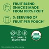 GoGo squeeZ Organic Applesauce and Fruit Puree, Apple Apple, 3.2