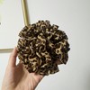 2 Pack Large Leopard Print Ruffle Scrunchies for Women, Large