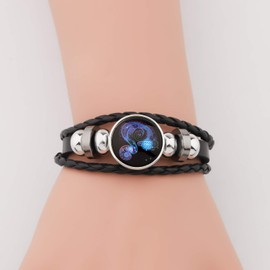 HOLLP Birthday Gift Zodiac Sign Bracelet Zodiac Jewelry Gifts for Women Men (Aquarius)