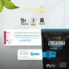 BIOSUPLE Creatina + Beta Alanina 100% puras, sin ingredientes de