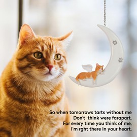 Carchistan Cat Memorial Gifts Remembrance Gifts for Cat Lovers, Orange Cat Angel Statue Sleeping on Moon Hanging Suncatcher Window Decorations, Sympathy Cat Loss Gifts Passing Away Gift