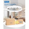 Passky 20” Low Profile Ceiling Fan with Lights and Remote,