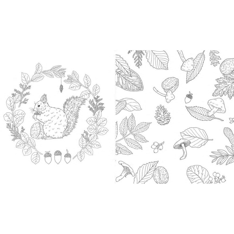 Harmony of Nature: Unwind. Create. Color.