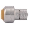 SharkBite 1/4 Inch (3/8 Inch OD) x 1/4 Inch Compression
