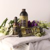 TESORI D'ORIENTE Bagno 500 Vaniglia&Zenz Bagnoschiuma e saponi per il