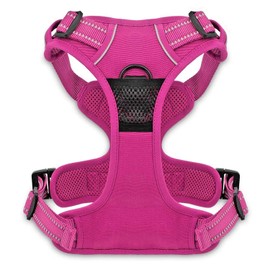 Voyager Dog Harness Dual Leash Attachment No-Pull Control Adjustable Soft but Strong Pet Harness for Medium and Large Dogs with 3M Reflective Technology, Fuchsia Nylon, M (Chest: 20-25")