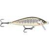 Countdown Elite 55 Gilded Brown Trout