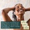 Palma Christi (Castor Oil) Natural Cleansing Bar Soap, 3 bar
