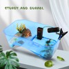RYPET Turtle Tank Aquarium - Reptile Habitat, Turtle Habitat, Reptile