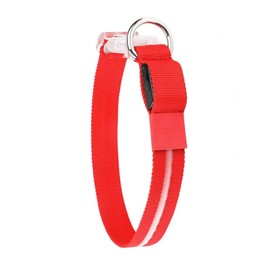 LUMIPAW Cherry Red Medium LED Dog Collar | Night Walks just got Safer | Ultra-Bright LED Collar | USB Rechargeable | Waterproof | Adjustable & Durable | 4 Light Modes | Keep Your Pup & Yourself Safe!