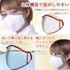 ariga10mask [Safe Made in Japan] 2-Layer 3D Mask Easy to