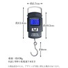 fishing scale digital scale fishing tackle hanging scale weight night