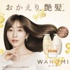 Hair Recipe Wanomi Saratsuya Hair Shampoo Pump 350 ml