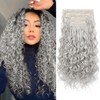 REECHO Curly Hair Extensions, 4PCS 20 inch Clip in Hair