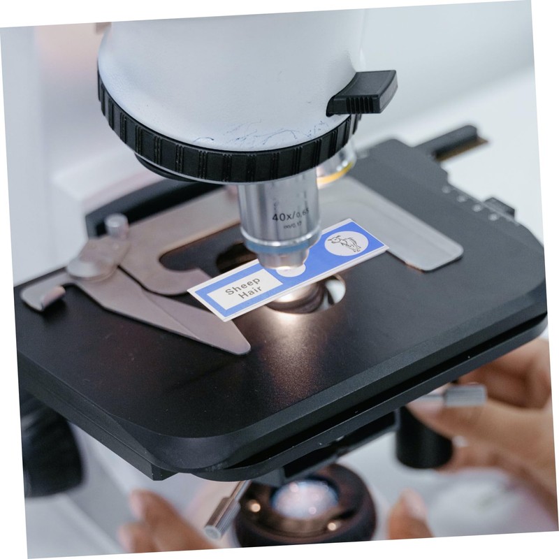 KOMBIUDA 12 pcs Prepared Microscope Slides for Educational Microbiology Specimens