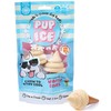 SPOT Pup Ice- Ready to Freeze at Home Dog Treats-Edible