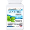Specialist Supplements WATERgo Fluid Maintenance 90 Capsules