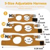 Bearded Dragon Leash and Harness Set - 3-Size Adjustable Soft