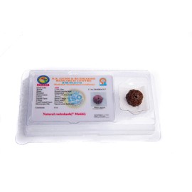 Wonder Care - Original Nepali Rudraksha Bead/Rudraksha Bead Natural Rudra Religious Rosary Bead…