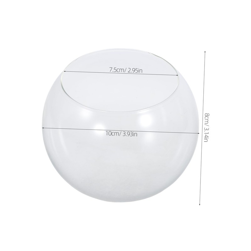 Mipcase Glass Terrarium Plant Holder Bubble Planter for Succulents and
