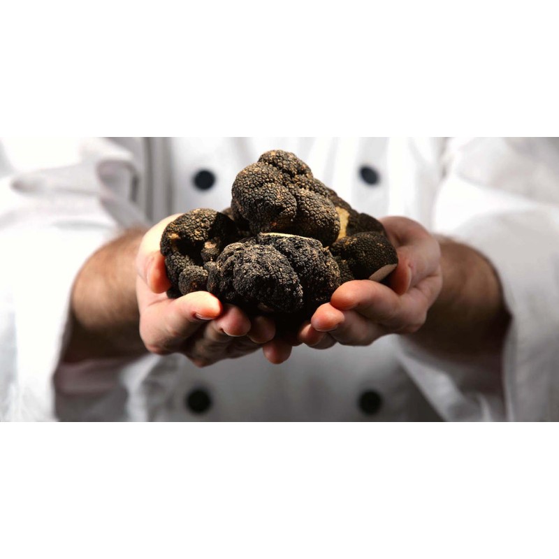NIKA SEEDS - Spores Truffle Black Mushrooms for Planting on
