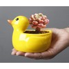 chenwen Cute animal shaped planter flower pot duck shape small