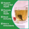 TEARELAE - Premium Horsetail Tea Bags - 1.5g x 40
