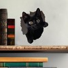 Black Cat Decal - Wall Hole Sticker with 3D Effect