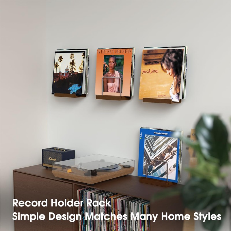 TAKMORK Record Holder Vinyl Display Storage: Vinyl Record Storage Holder