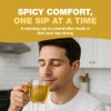 HANDPICK, Organic Ginger Tea Bags (100 Herbal Tea Bags), Caffeine