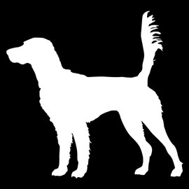 Express Yourself English Setter On Scent (White - Reverse Image - Large) Decal Sticker - Hunting Dog Collection