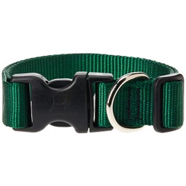 LupinePet Basics 1" Green 12-20" Adjustable Collar for Medium and Larger Dogs