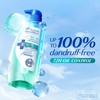 Head and Shoulders 72H Oil Control + Anti-Dandruff Shampoo 300g